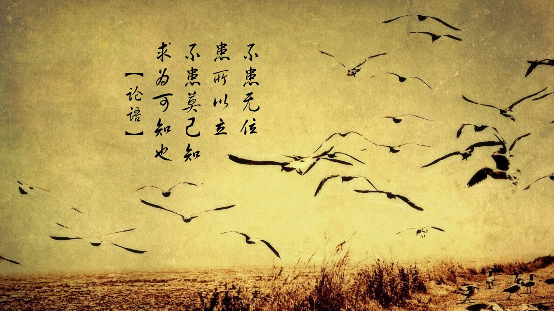 联盟是否应举办历史经典战复刻夜，lol历史活动