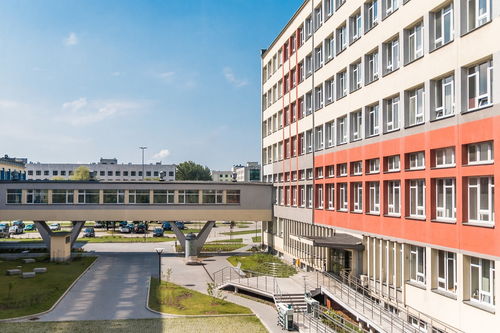 leyu乐鱼在线登录入口-中国篮球青训教练员专业能力提升及培训体系建设，篮球青训师资格证好考么