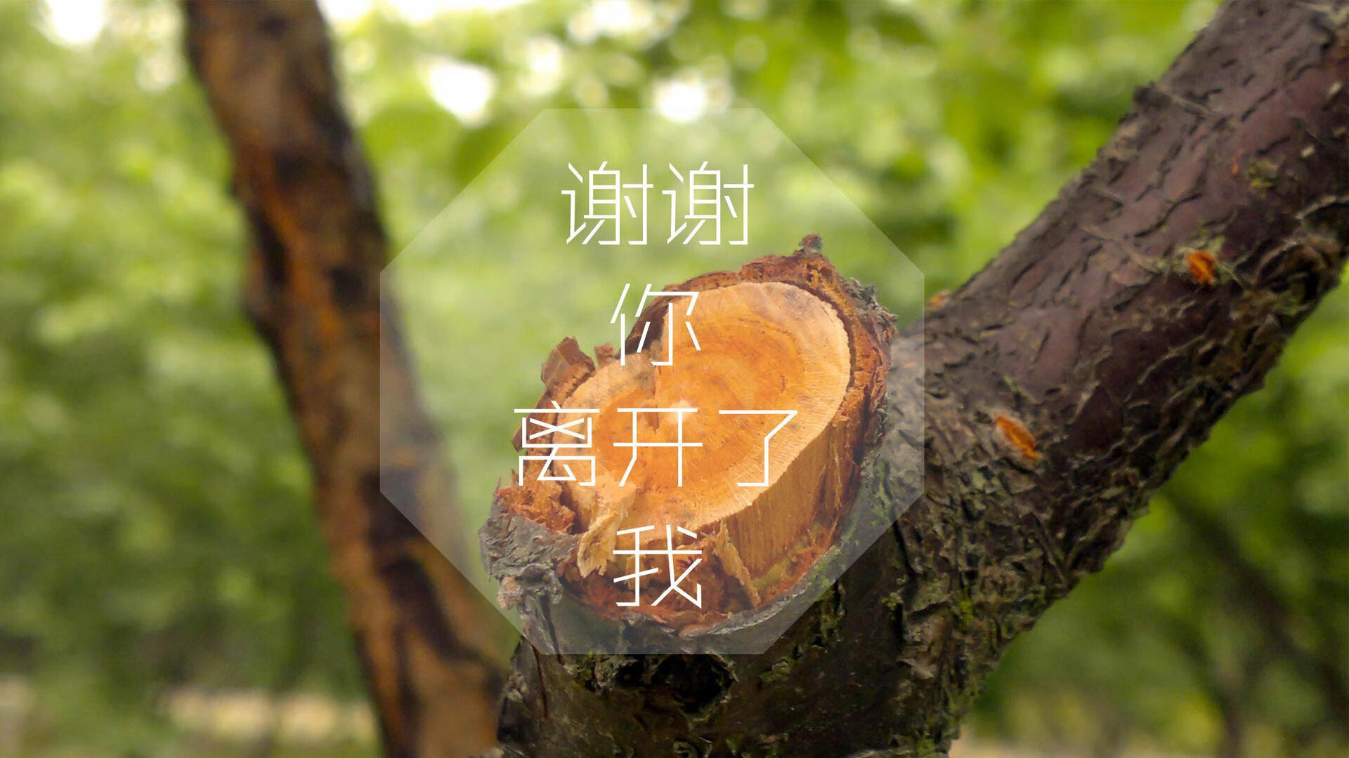 中国足球防守段盯人策略执行成功统计，足球 盯人防守