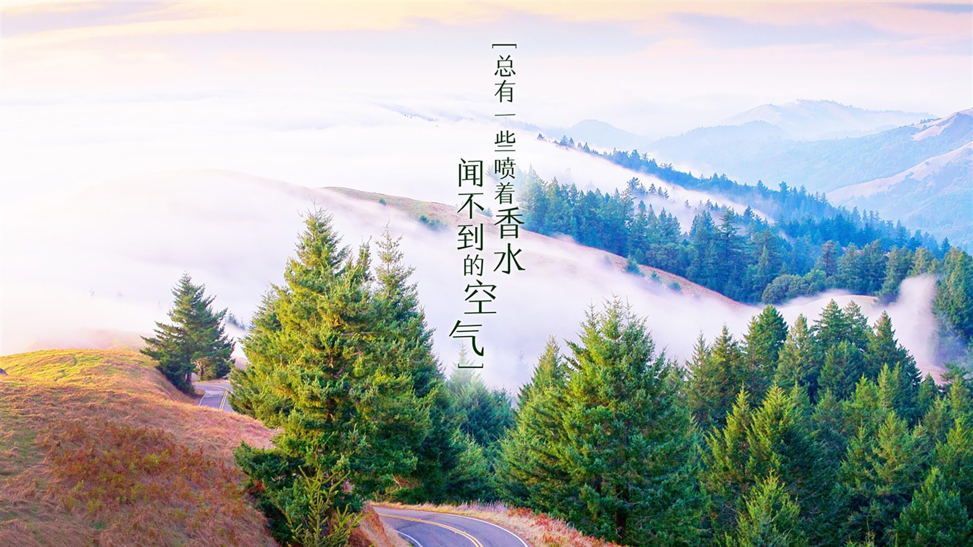 体育产业创新发展方向，体育产业科技创新