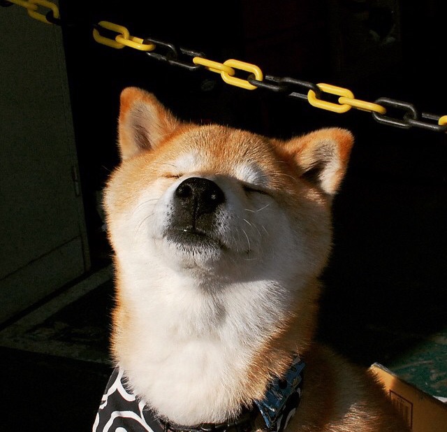 乐鱼体育(中国)官方网站-中国女篮重视防守反击 高效阻止对手进攻，中国女篮真棒