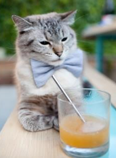 五大联赛球队如何构建紧急防守阵型应对节奏疲软,五大联赛防守最好的球队