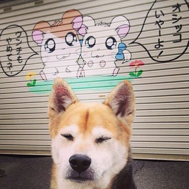 俱乐部官僚化管理影响战术执行效率，俱乐部型管理者