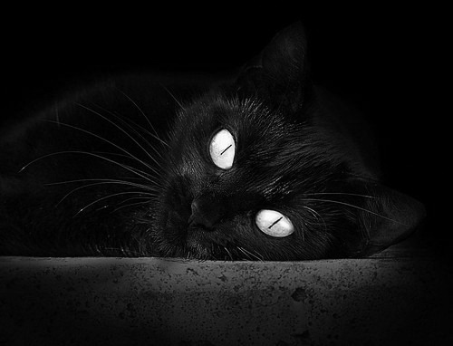 本月场均得分涨幅最大的球员，本月场均得分涨幅最大的球员是