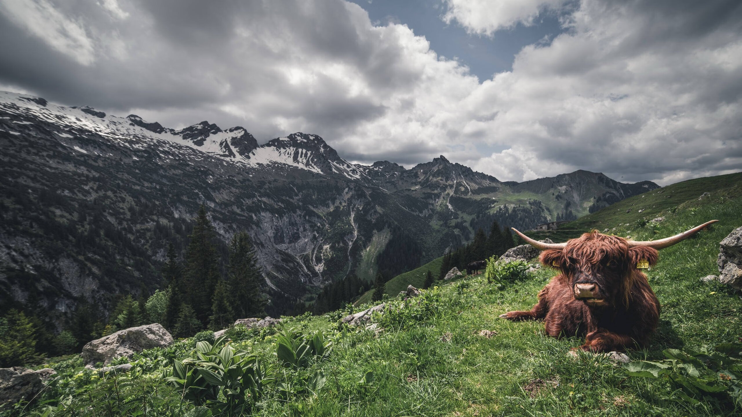 乐鱼（中国）体育官方网站-意甲经典传射：球星瞬间创造历史时刻，意甲传统强队