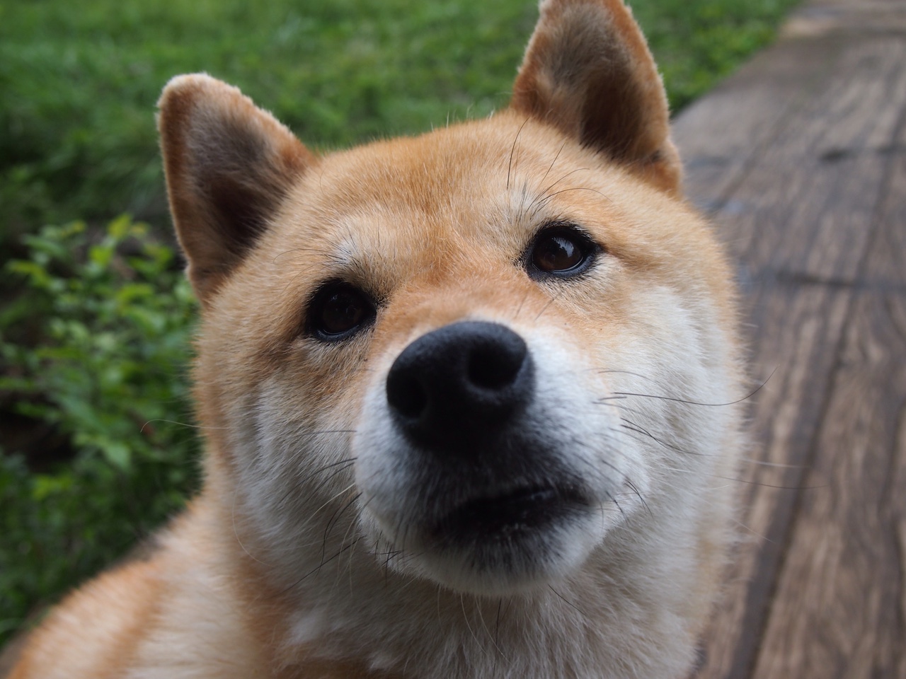 乐鱼体育APP官方下载-篮球俱乐部换帅风波引发热议，篮球俱乐部成员