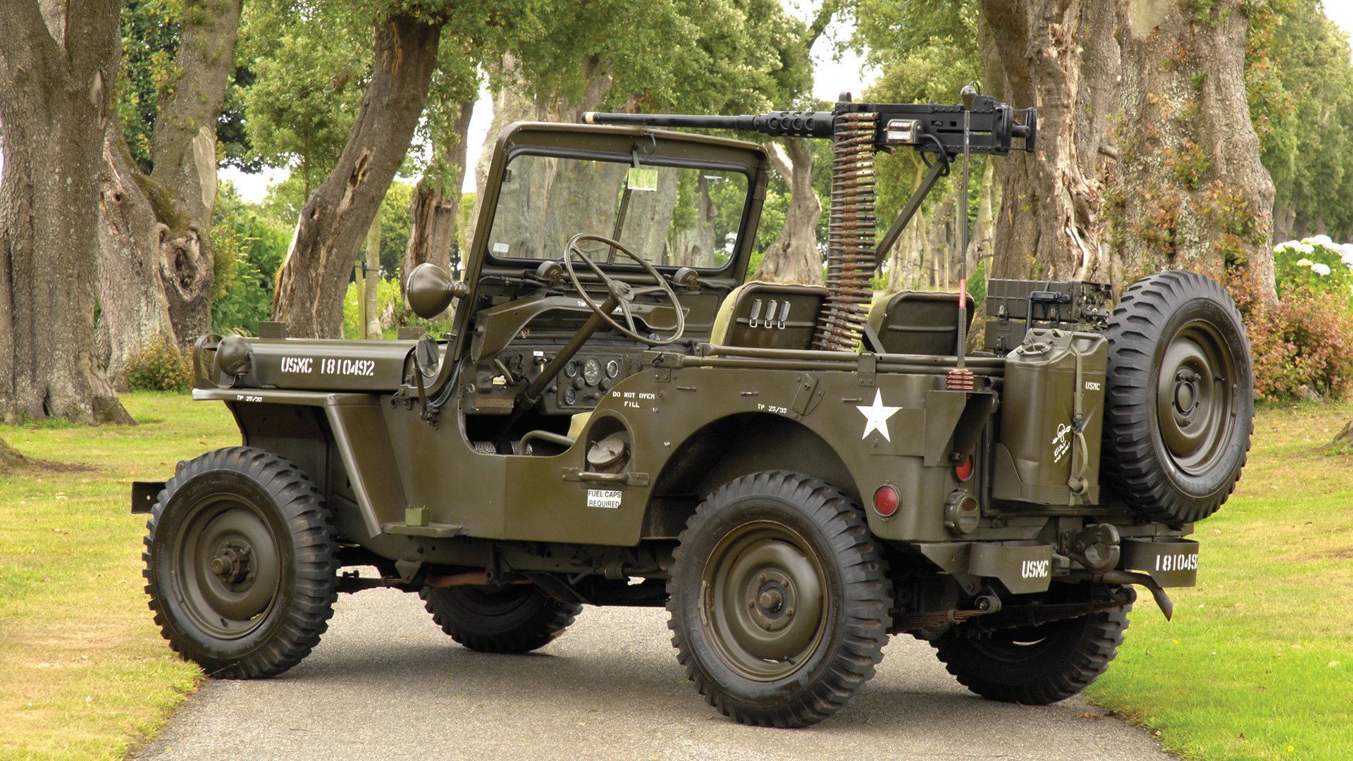 跳水稳定输出突尼斯勇夺积分，跳水巅峰