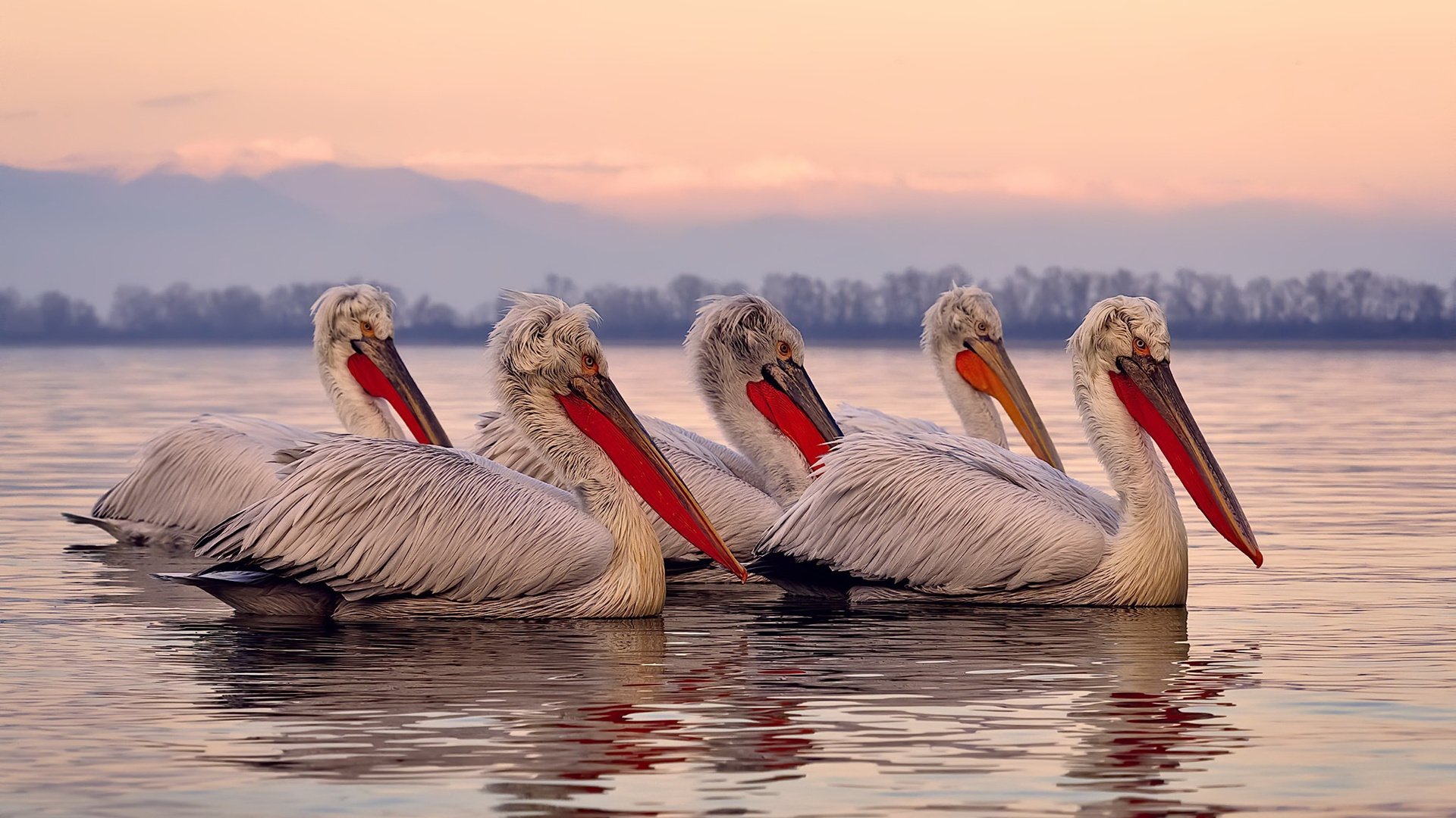 青训储备影响男子未来走势,青训有钱拿吗